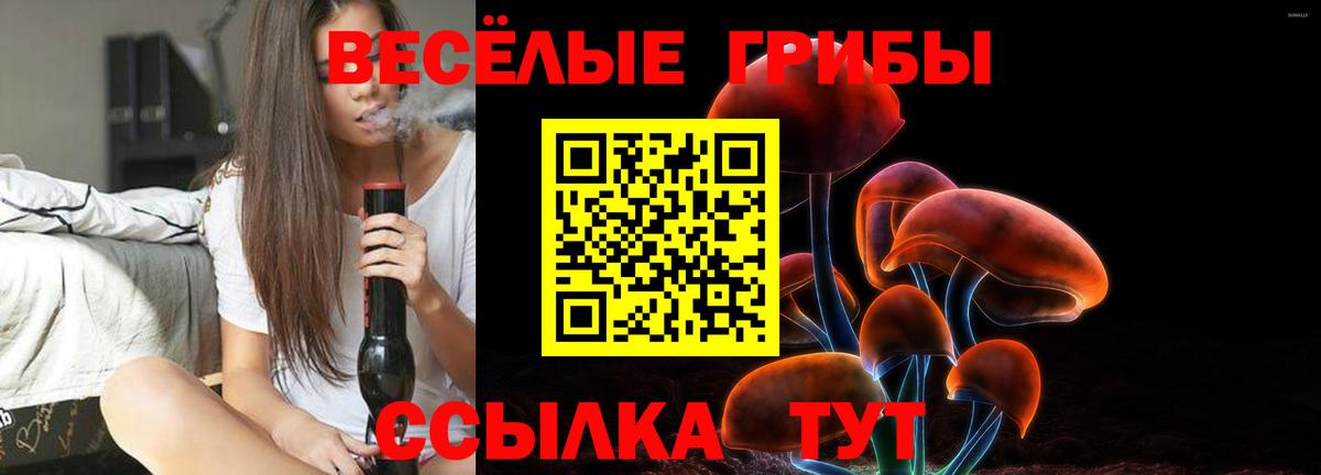 Салехард  Галлюциногенные грибы ЛСД  Вход с VPN 